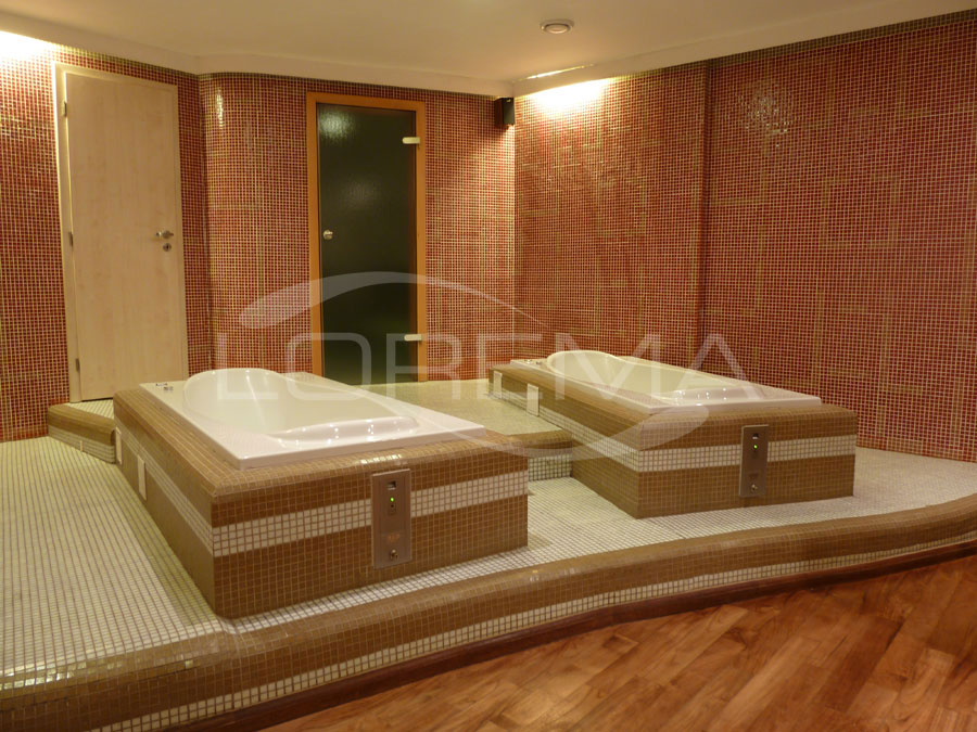 Wellness professional massage bathtubs with unmanned fully automated operation by means of token-operated switch connected to the control electronics